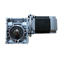Brushless Motor