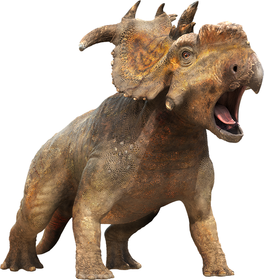 Pachyrhinosaurus