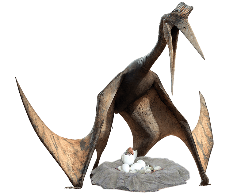 Pterosaur