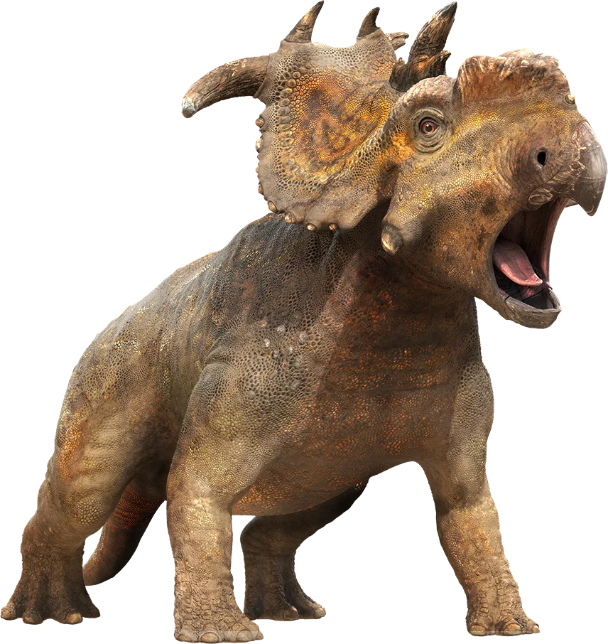 Pachyrhinosaurus
