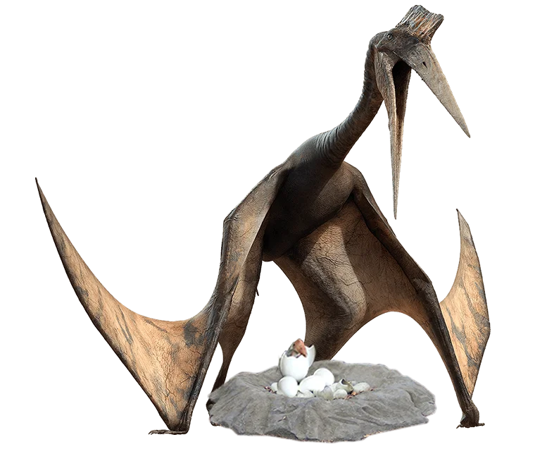 Pterosaur